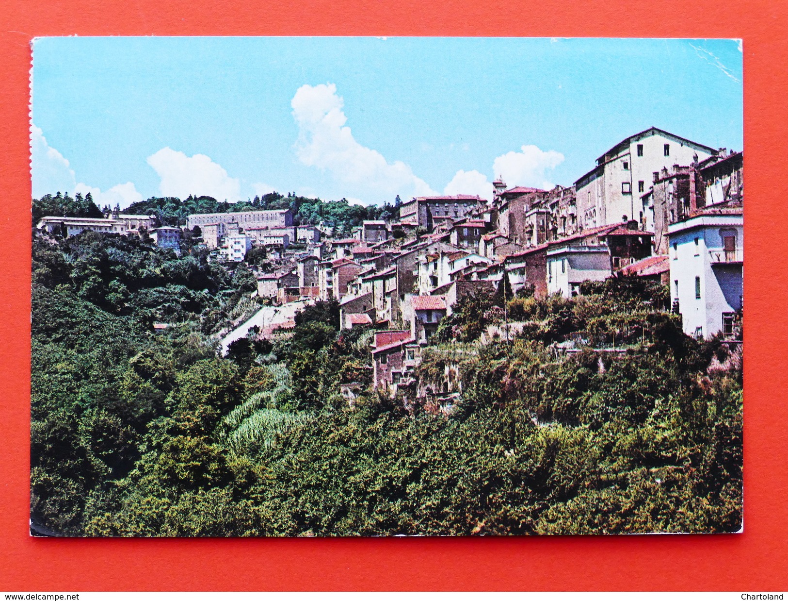 Cartolina Caprarola - Panorama - 1989 - Viterbo