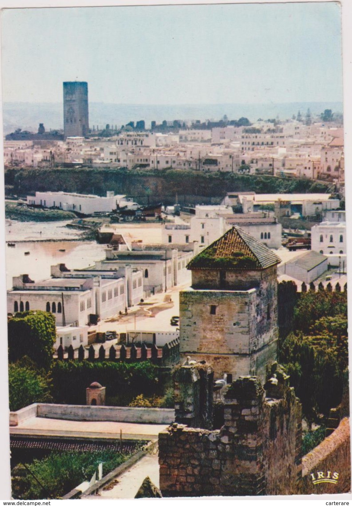 MAROC,MOROCCO,AFRIQUE DU NORD,RABAT - Rabat