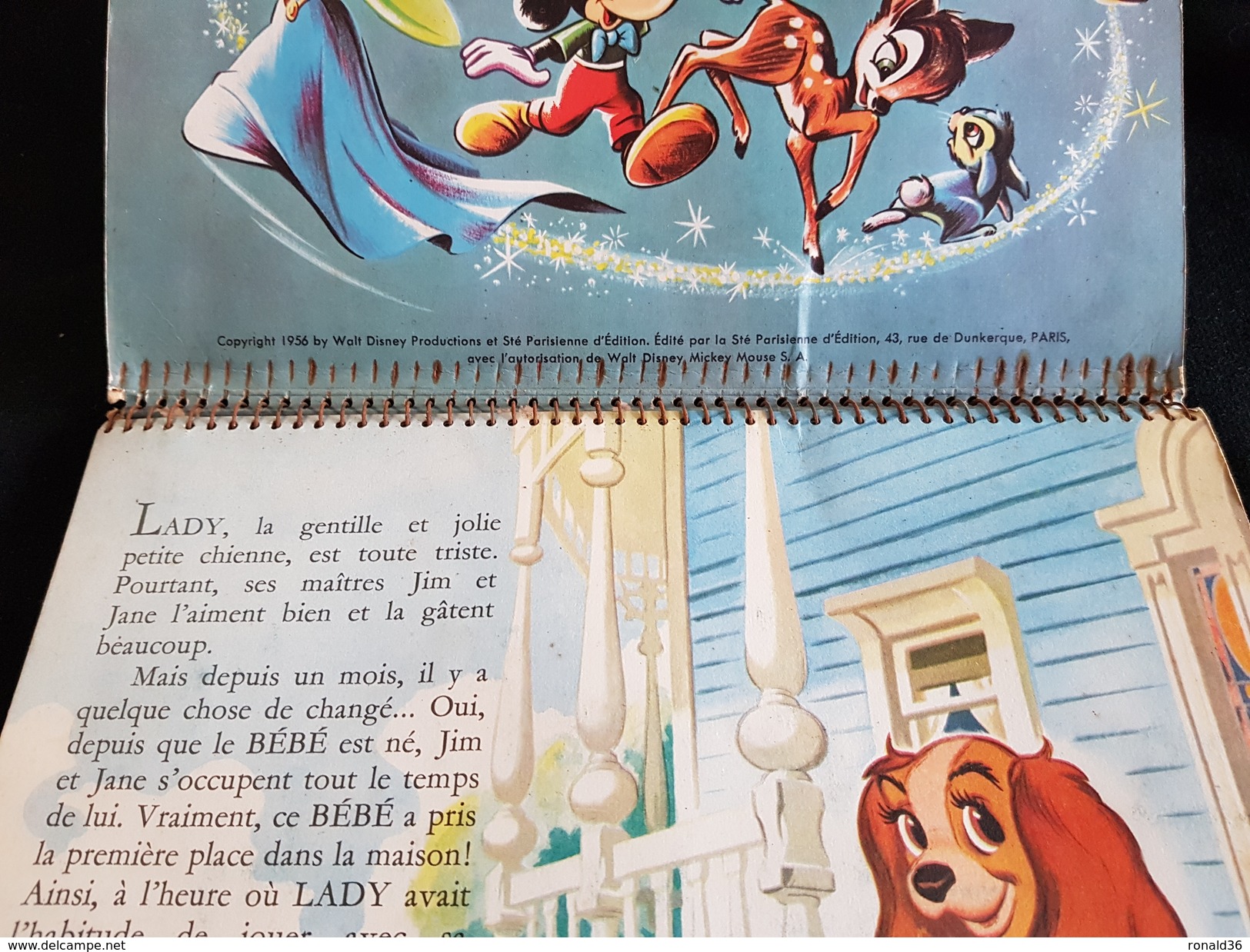 Livre 1956 LA BELLE ET LE CLOCHARD De WALT DISNEY En RELIEF (  Mickey Donald Pluto Fée ) Chien Chienne - Disney