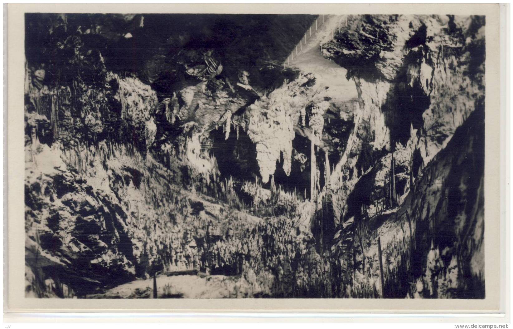 Grotte Di POSTUMIA Presso Trieste, La Valle Del Limbo  1925 - Eslovenia