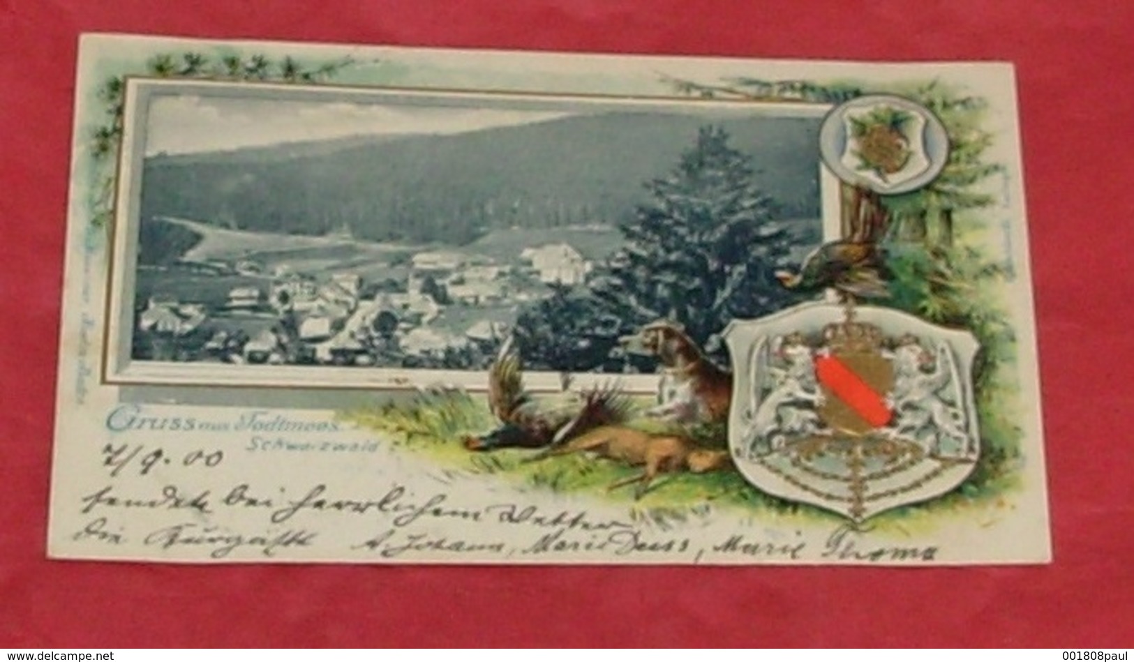 Gruss Aus Todtmoos Schwarzwald :::: Belle Carte Litho Gaufrée -------- 435 - Waldshut-Tiengen