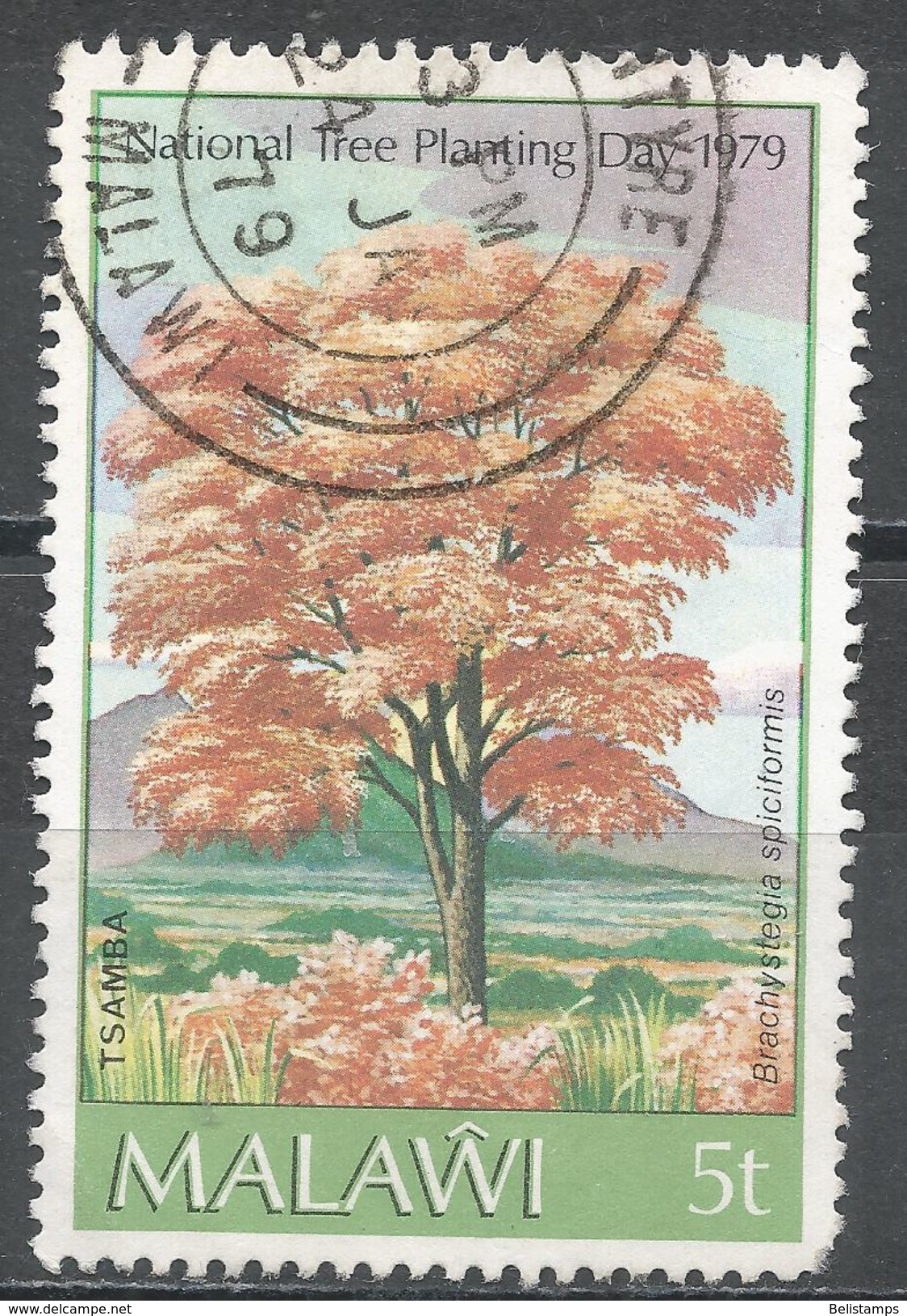Malawi 1979. Scott #342 (U) Brachystegia Spiciformis, Arbre, Tree - Malawi (1964-...)