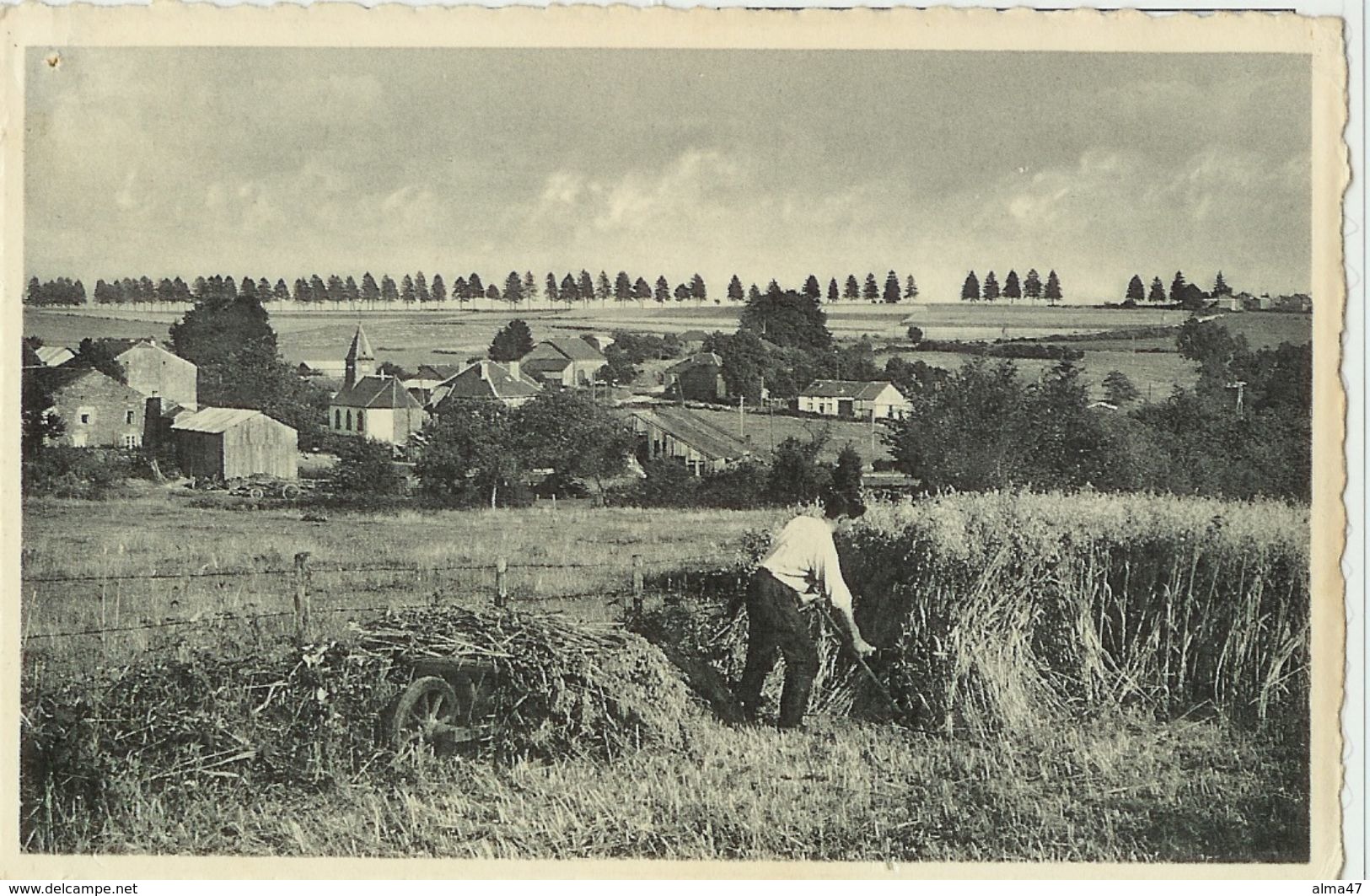 Six-Planes (Gros-Fays) - Panorama Avec Faucheur - Circulé 1966 - Edit. Villance - Chaidron - Bièvre