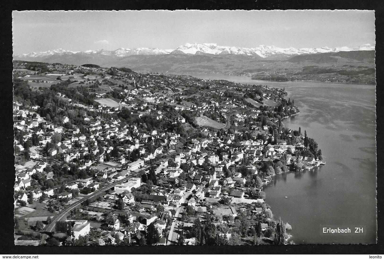 ERLENBACH ZH Zürichsee Meilen Goldküste Flugaufnahme Ca. 1950 - Meilen