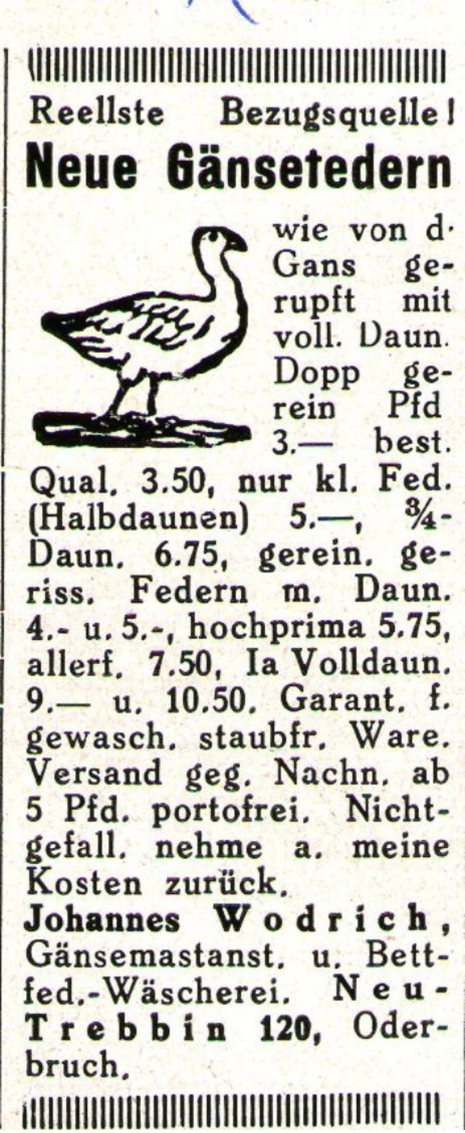 Original-Werbung/ Anzeige 1929 - GÄNSEFEDERN / JOHANNES WODRICH - NEU - TREBBIN / ODERBRUCH - Ca. 30 X 65 Mm - Pubblicitari
