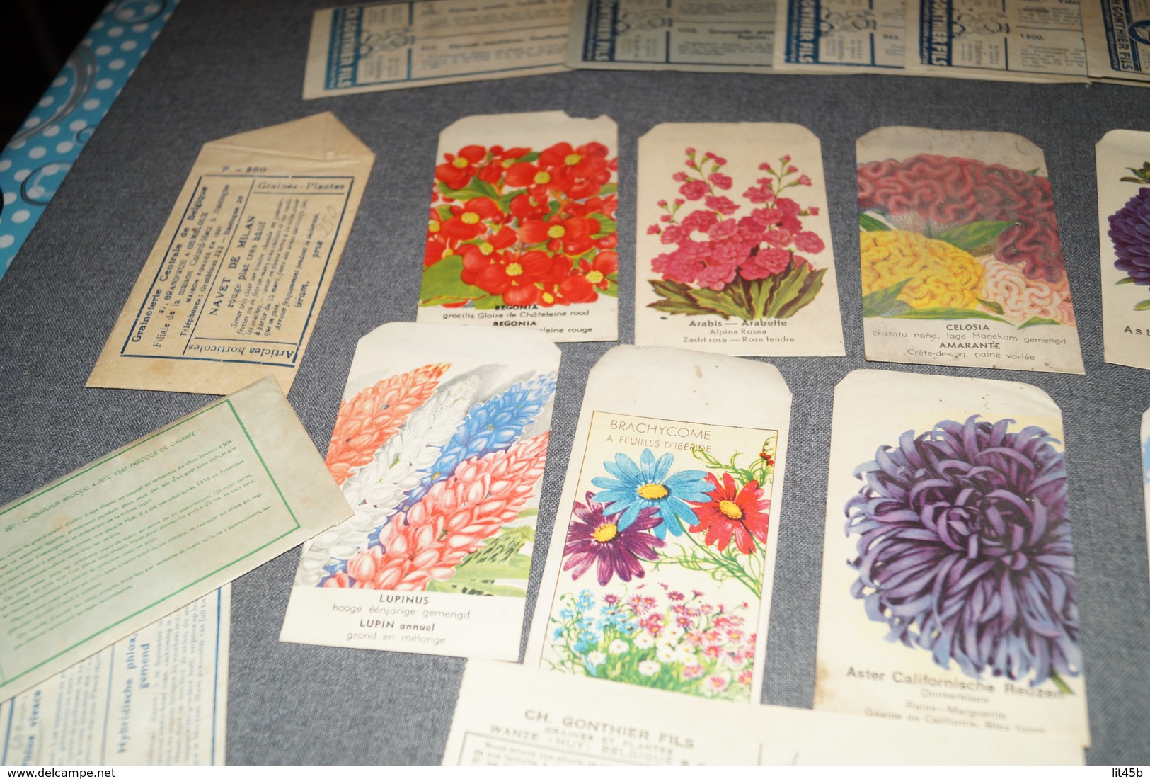 Très Beau Lot D'ancien Paquets De Semences (20),Fleurs,graines,Gonthier,etc...1947 Avec Facture D'époque,jardinage - Pubblicitari