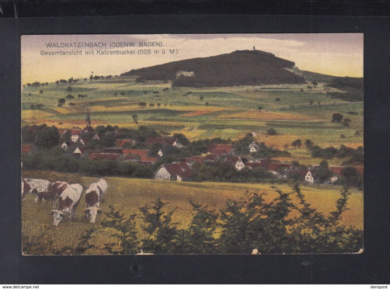 AK Waldkatzenbach 1924 - Waldbrunn