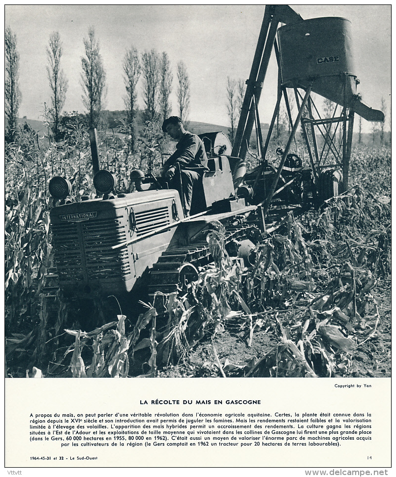 Photo, Le Sud-Ouest (1964) : La Récolte Du Maïs En Gascogne, Tracteur, Machine Agricole, Légende - Unclassified