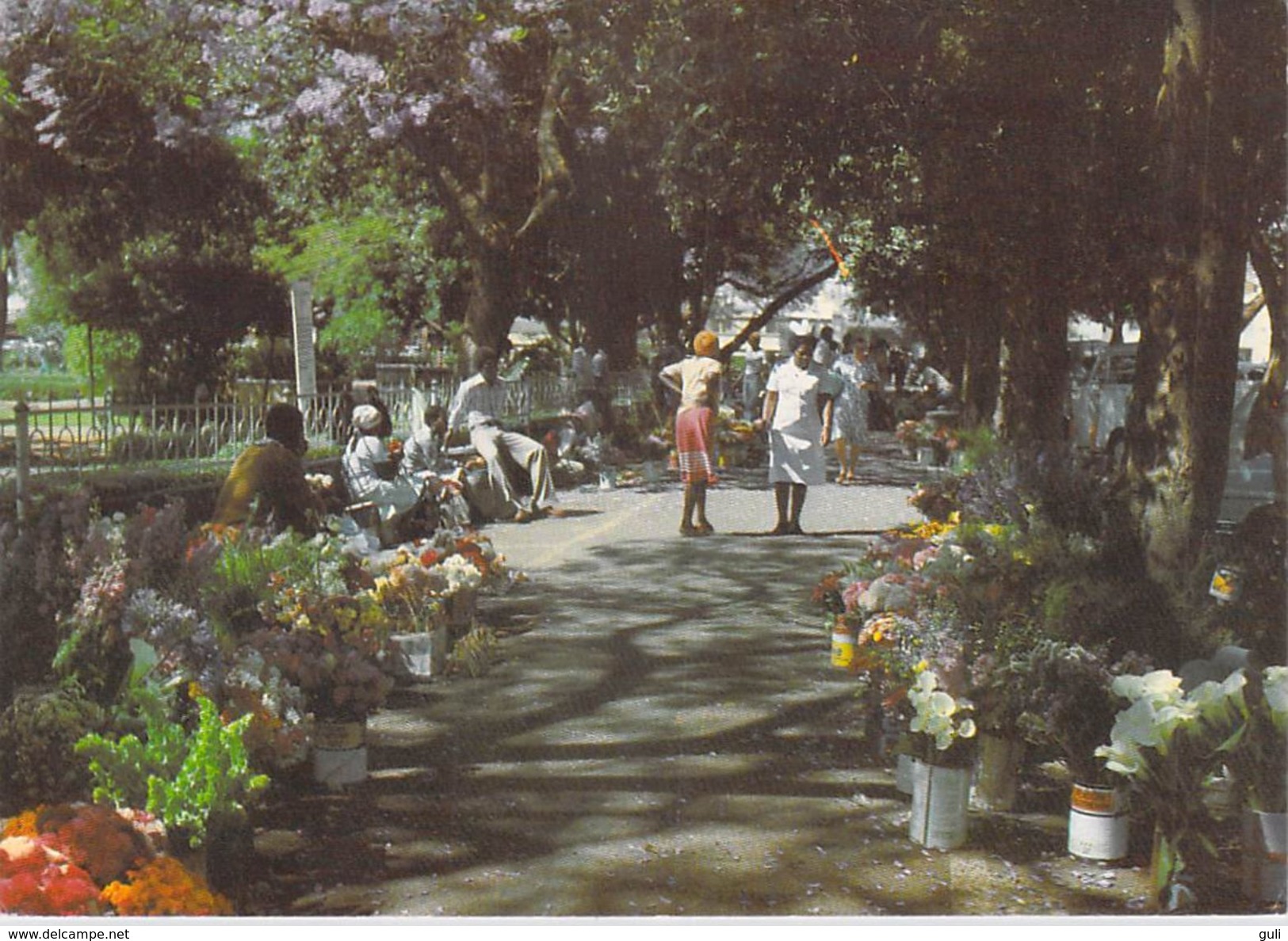 AFRIQUE ZIMBABWE Flower Sellers Bulawayo (fleurs)  (Photo David TRICKETT B/27)*PRIX FIXE - Zimbabwe