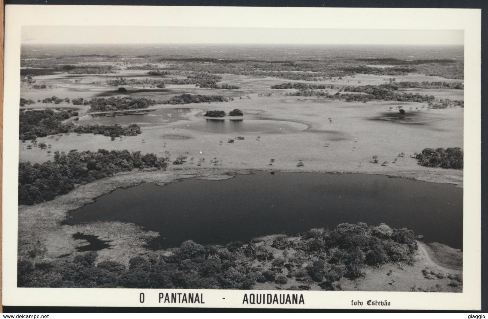 °°° 8509 - MATO GROSSO - PANTANAL - AQUIDAUANA - FOTO ESTEBAO °°° - Altri