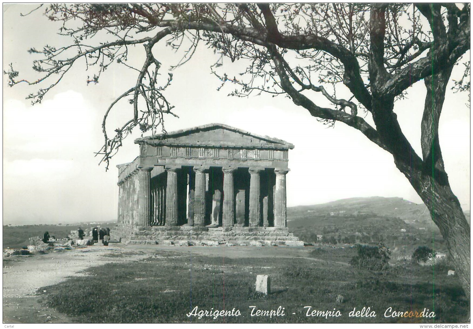 CPM - AGRIGENTO TEMPLI - Tempio Della Concordia - Agrigento