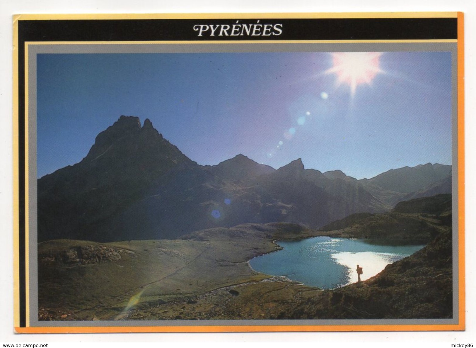 LARUNS--1990--PYRENEES--L'Ossau Et Le Lac D'Ayous--cachet EAUX-BONNES-64....timbre - Laruns