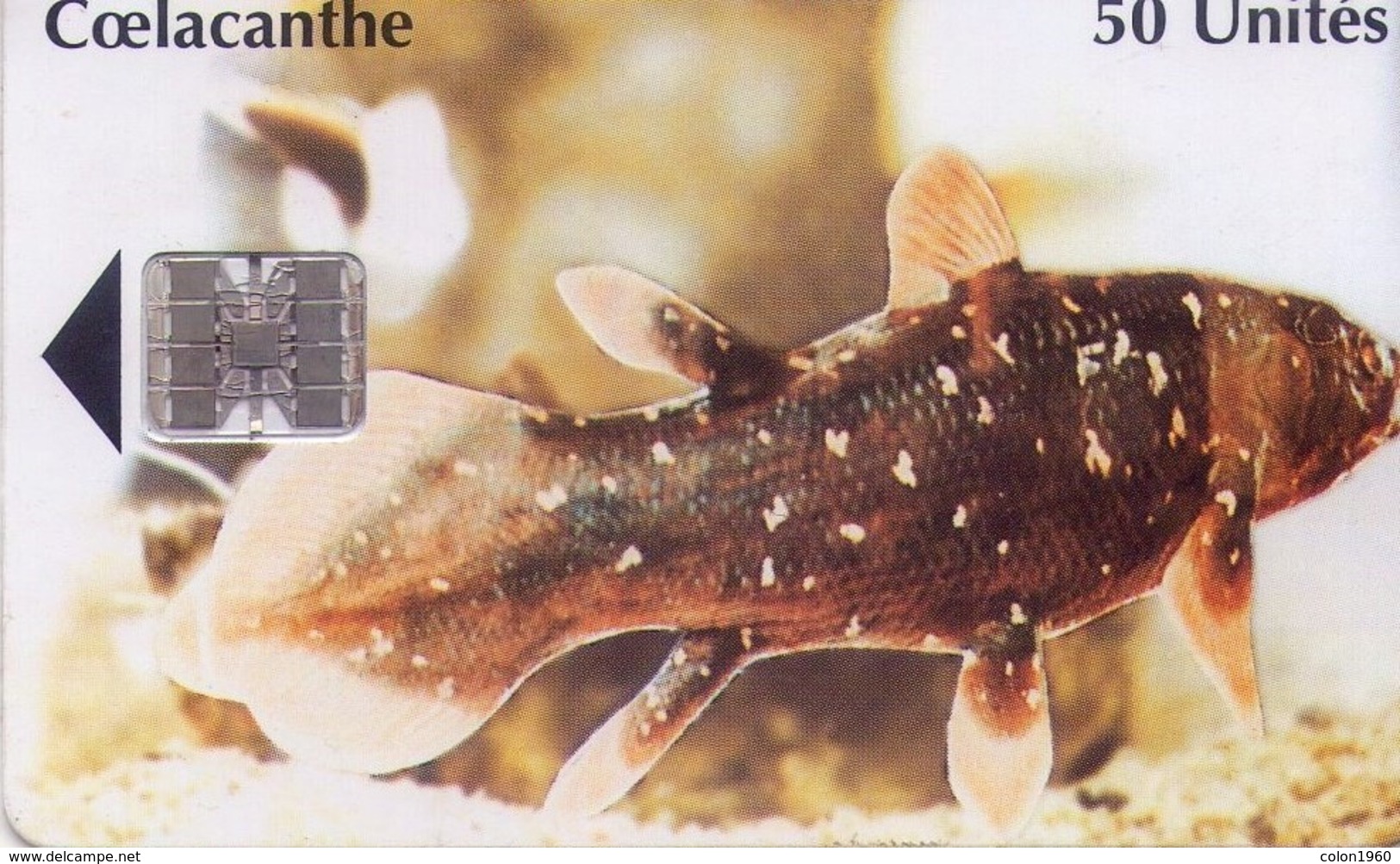 COMORES. KM-OPT-0013Ba. Coelacanthe. 50U. (005) - Komoren