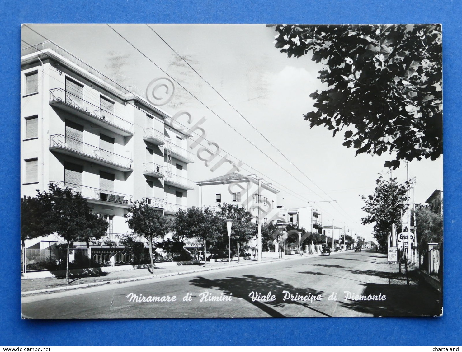 Cartolina Miramare Di Rimini - Viale Principe Di Piemonte - 1964 - Rimini