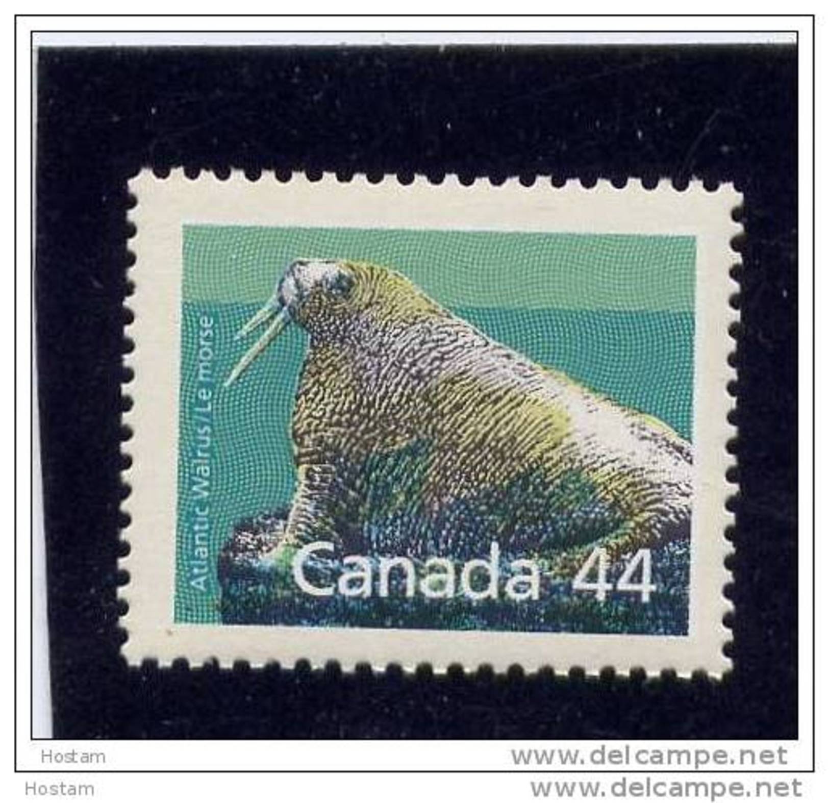 CANADA. 1989, # 1171a, ATLANTIC WALRUS, STAMP FROM BK, PERFORATION:  12.5/13.1,  MNH, - Neufs