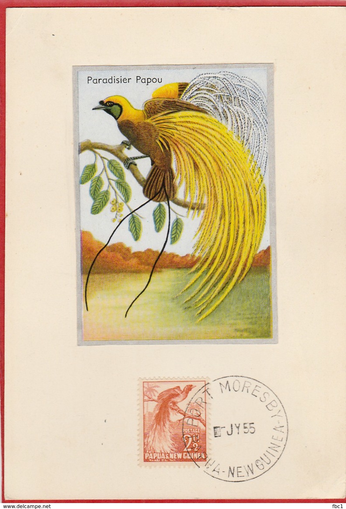 Carte Maximum - Papouasie-Nouvelle-Guinée - Oiseau - Paradisier Papou - Port Moresby 1955 - Papouasie-Nouvelle-Guinée