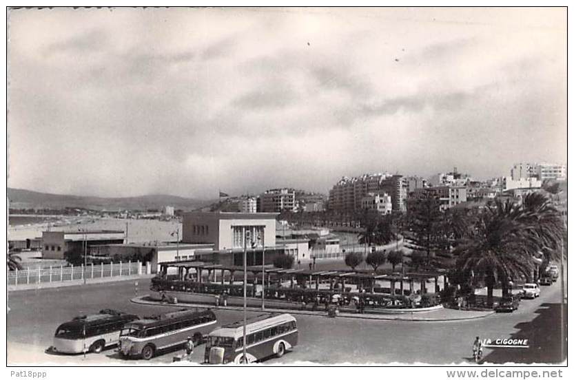 BUS AUTOBUS AUTOCARS ( MAROC Morocco ) TANGER : 3 Bus Face Gare Et Avenue D'Espagne - CPSM PF 1956 - Coatches Busen - Buses & Coaches