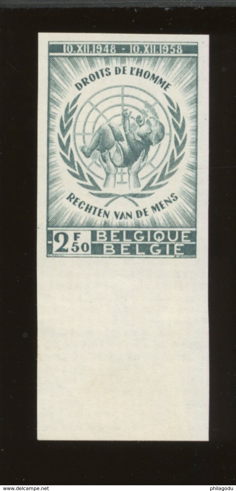 1089  Droit De L'Homme De 1958  Non Dentelé Avec Grand Bord De Feueille   Tirage De 240 Ex - 1941-1960