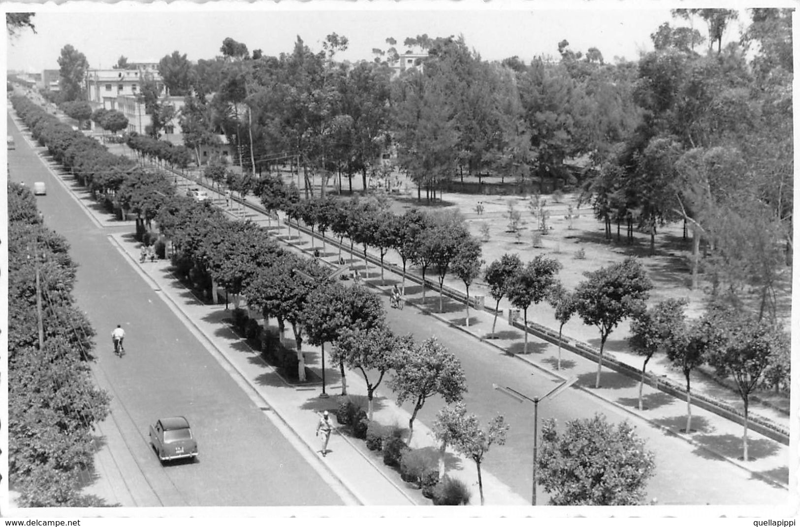 06680 "ERITREA - ASMARA" ANIMATA, AUTO. CART SPED 1966 - Erythrée