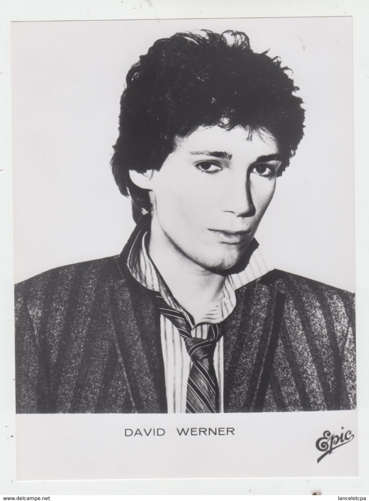 PHOTO PRESSE 18X24 / DAVID WERNER - ROCK AMERICAIN 1980 - Célébrités