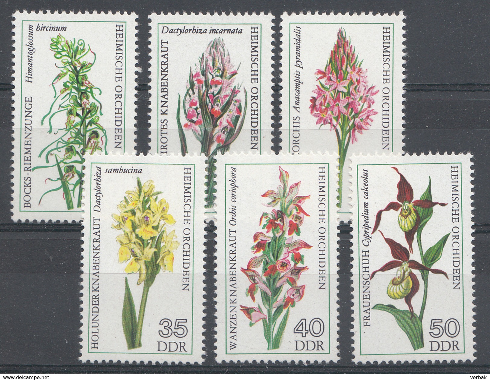 OOST-DUITSLAND 1976 MI.NR: 2135-2140 Heimische Orchideen  MNH / POSTFRIS / NEUF SANS CHARNIERE - Neufs