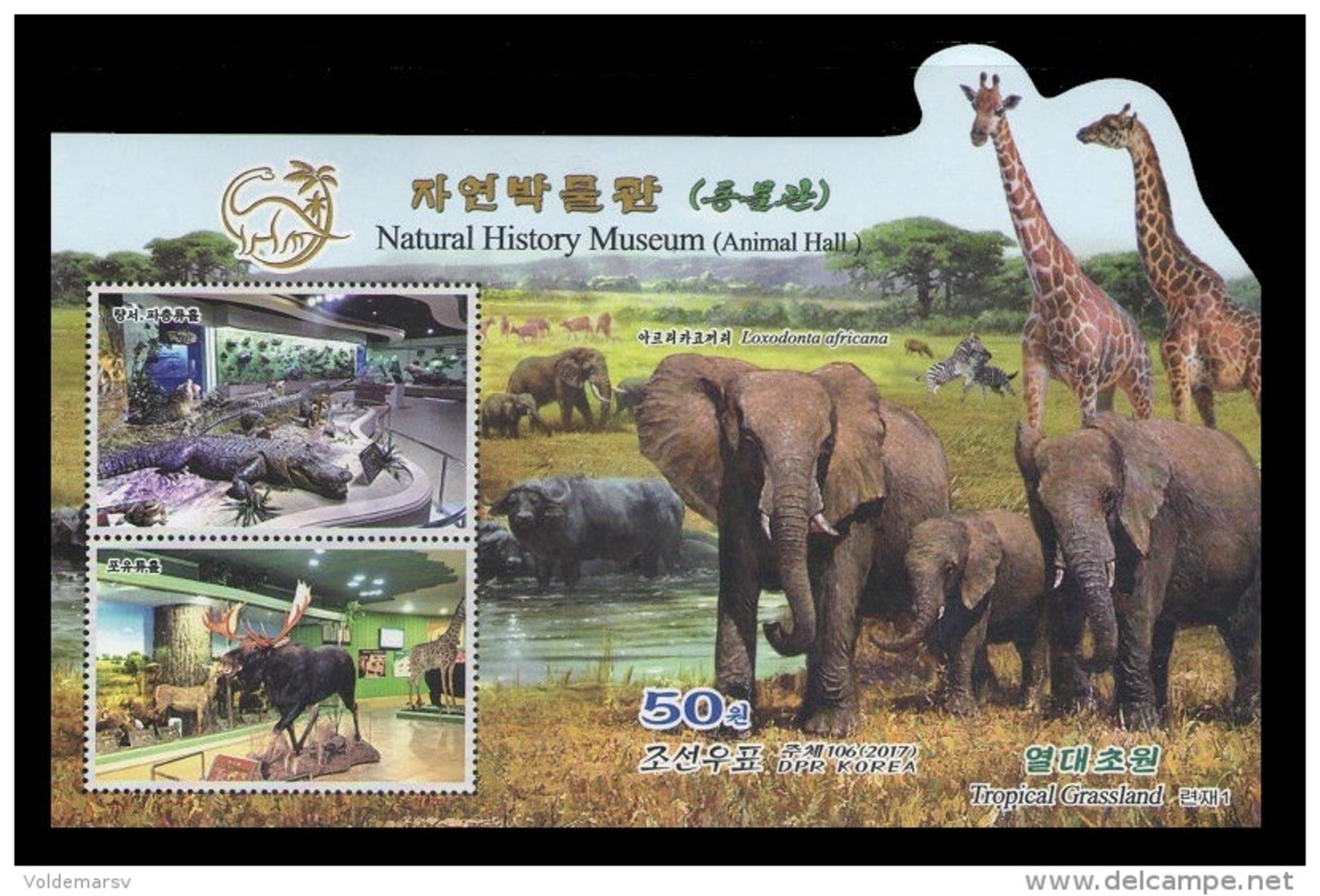 North Korea 2017 Mih. 6405B/09B (Bl.950B/54B) Natural History Museum. Flora. Fauna. Dinosaurs. Elephants (imperf) MNH ** - Corea Del Nord