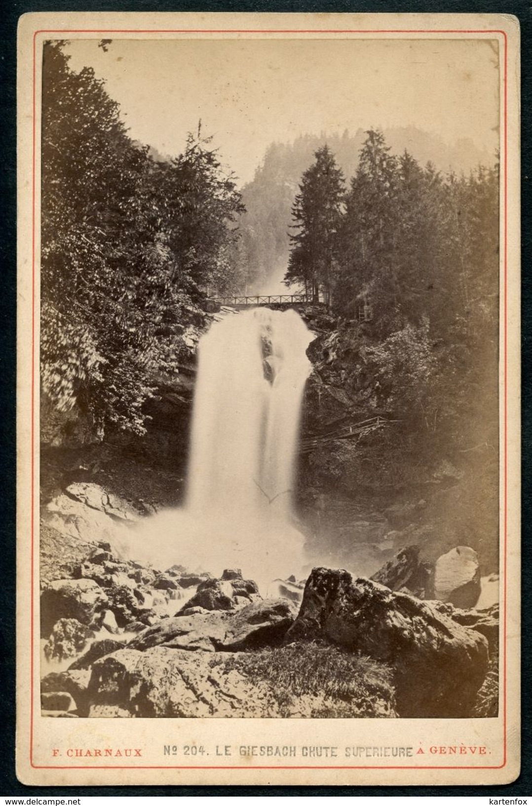 Foto, Le Giesbach Chute Superieure, Wasserfall, Brienz, Um 1900, F.Charnaux, Geneve - Brienz