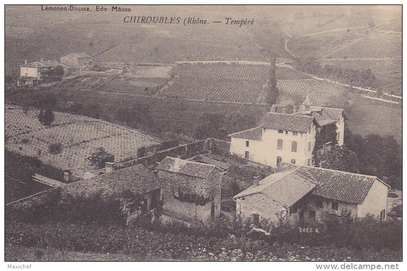 Chiroubles - Tempéré (Maisons Isolées Au Milieu Des Vignes) Pas Circulé - Chiroubles