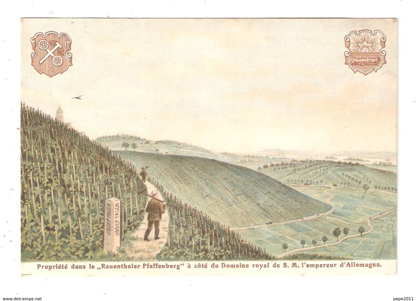 CPA  Lithographie Rauenthal, Weinberg "Josef Falck" Im "Rauenthaler Pfaffenberg" Mayence / Rhin - Vignes