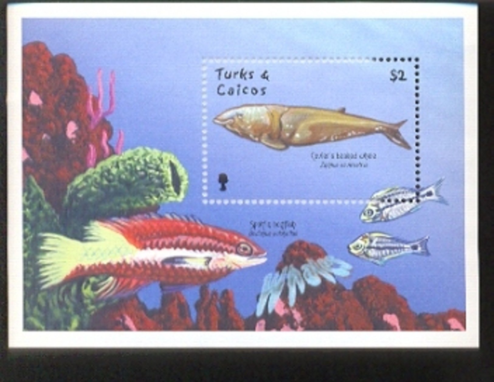 TURKS & CAICOS   1336 MINT NEVER HINGED SOUVENIR SHEET OF FISH-MARINE LIFE ; WHALES ; FISH - Poissons