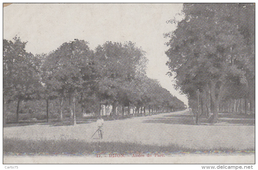 Métiers - Botanique Horticulture - Jardinier - Allées Du Parc De Dijon - Autres & Non Classés