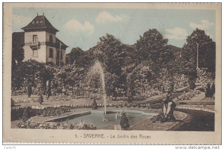 Métiers - Botanique Horticulture - Jardinier - Saverne 67 - Jardin Des Roses - Autres & Non Classés