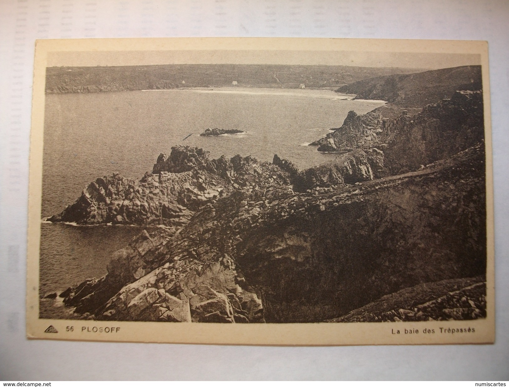 Carte Postal Plogoff (29) La Baie Des Trépassés  (Petit Format Non Circulée ) - Plogoff