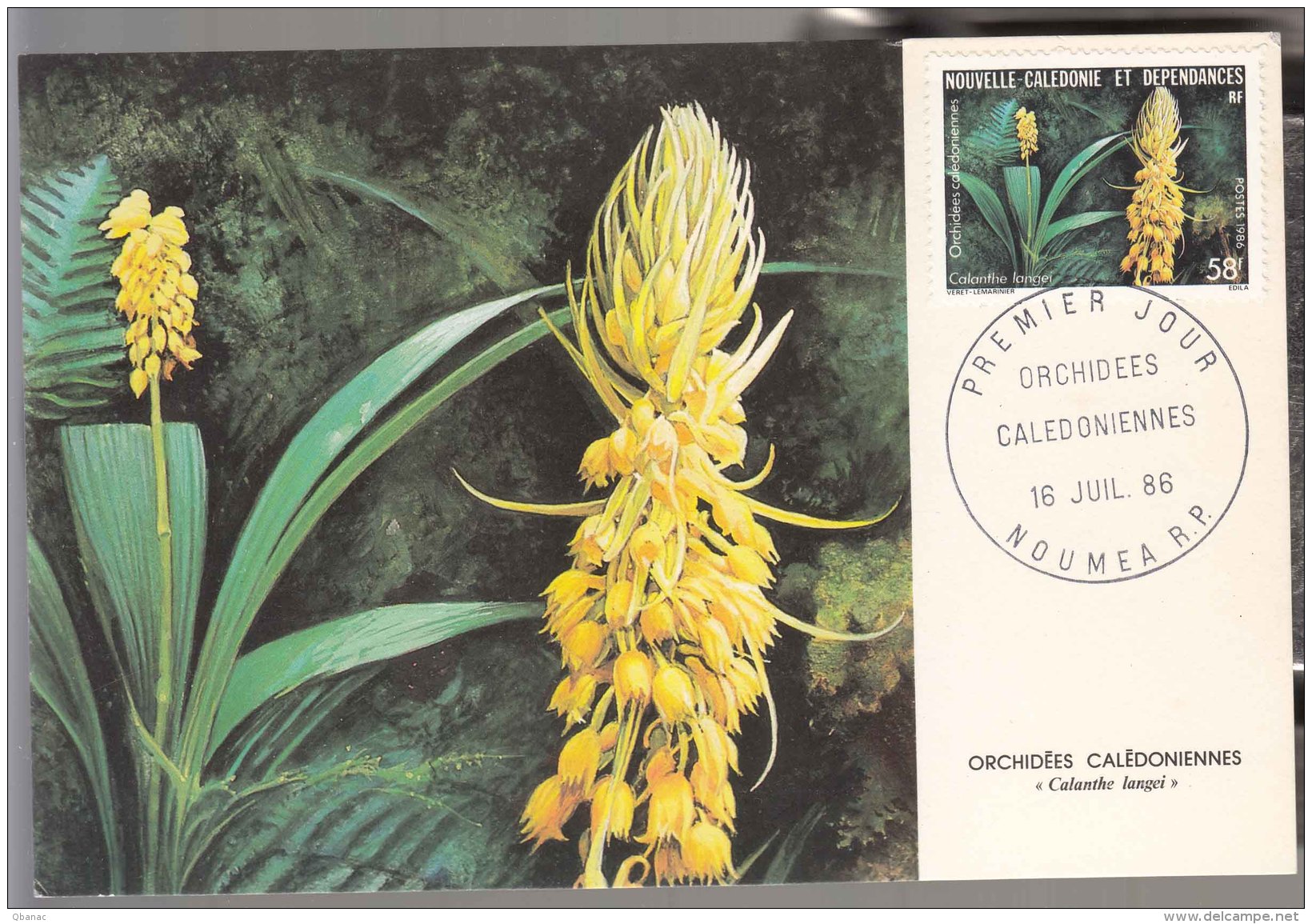 French New Caledonia Caledonie 1986 FDC Card (Premier Jour) Flowers (Orchidees) - Brieven En Documenten