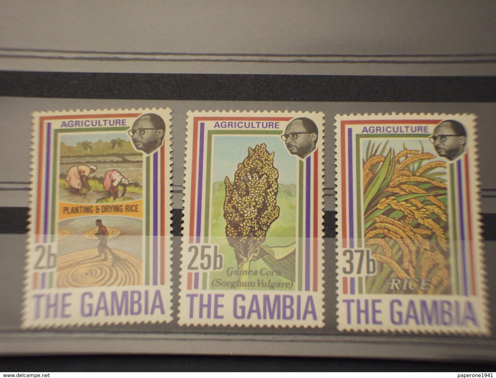 GAMBIA - 1973 PIANTE   3 VALORI  - NUOVI(++) - Gambia (1965-...)