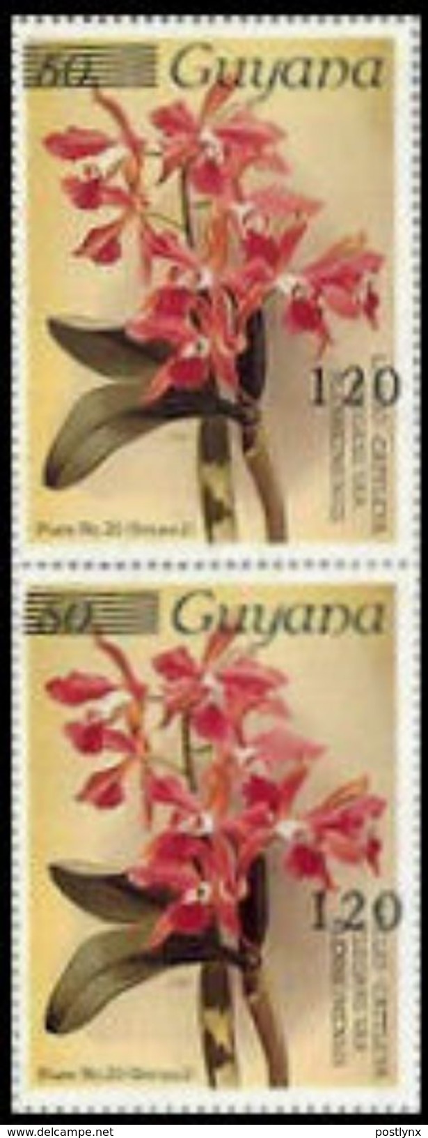 GUYANA 1986-9 Orchids OVPT:120/50c P3 PAIR [Aufdruck,surimprimé,sobreimpreso,soprastampato,opdruk] - Guyane (1966-...)