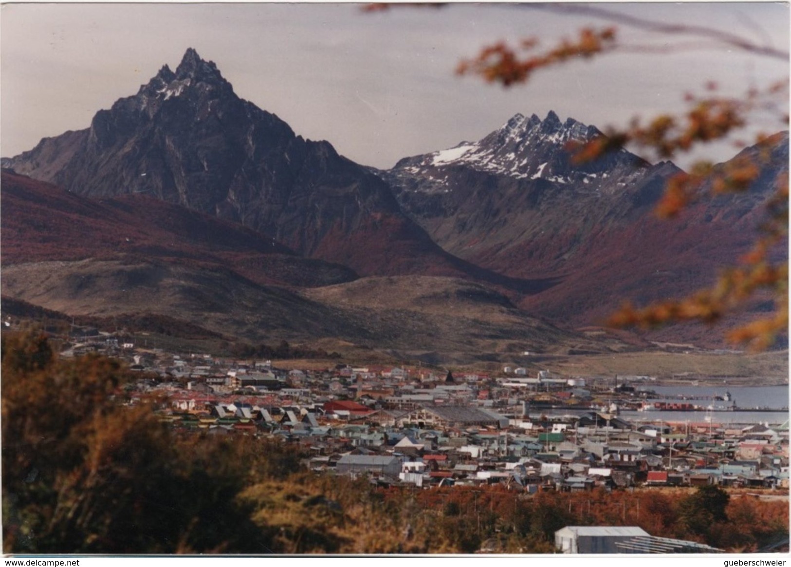 FLOR-L142 - ARGENTINE Belle Carte Postale De USHUAIA Pour Saint-Gall Affr. Fleurs - Briefe U. Dokumente