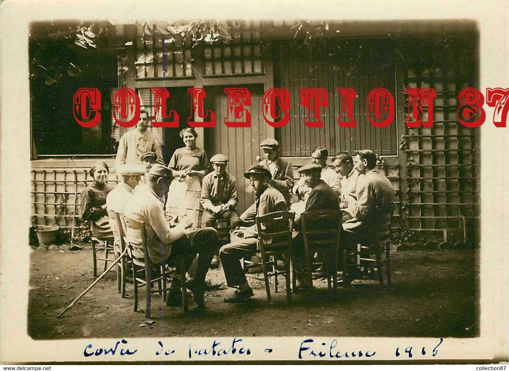 78 - CAMP De FRILEUSE En 1916 < CORVEE De PATATES - CARTE PHOTO (cm12.5x9) - POMME De TERRE - BEYNES - Beynes