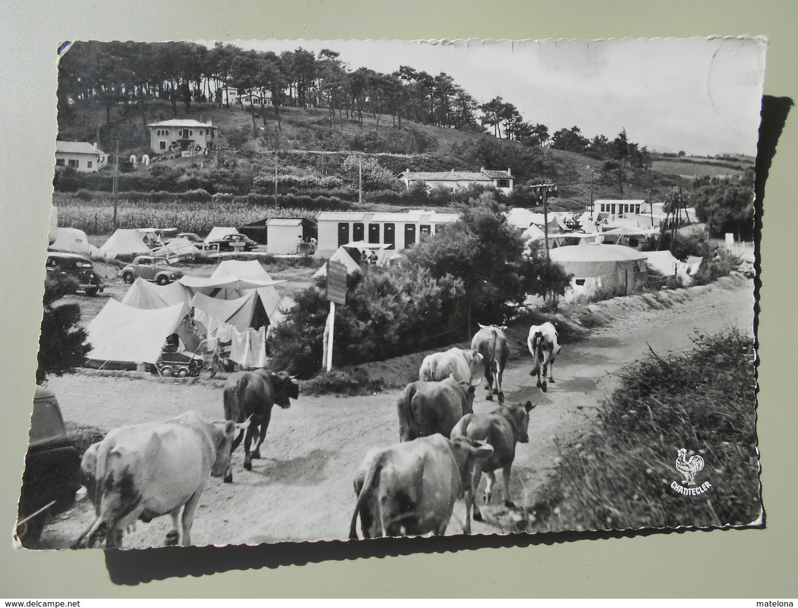 PYRENEES ATLANTIQUES SAINT JEAN DE LUZ  CAMPING D'ERROMARDI - Saint Jean De Luz