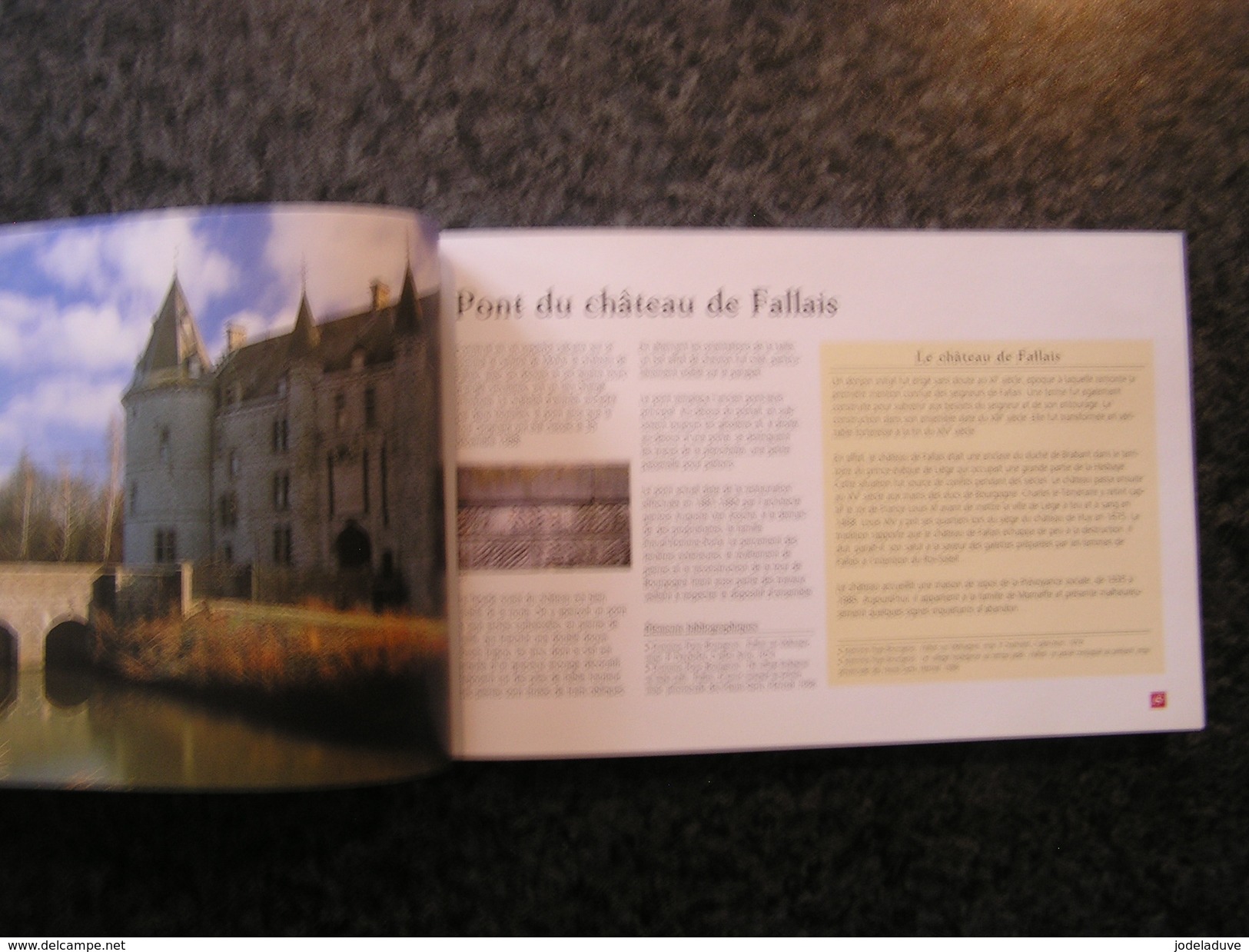 PONTS D' HIER ET D' AUJOURD' HUI Le Pays Hutois Régionalisme Meuse Hoyoux Méhaigne Wanze Ligne Chemins de Fer Moulin