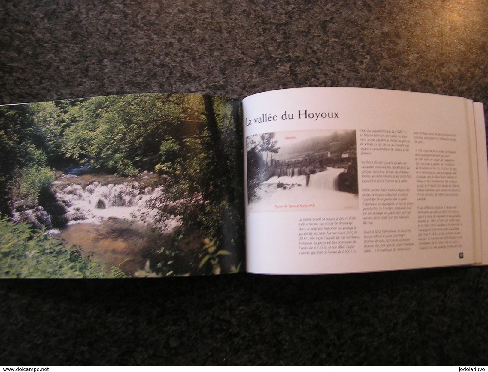 PONTS D' HIER ET D' AUJOURD' HUI Le Pays Hutois Régionalisme Meuse Hoyoux Méhaigne Wanze Ligne Chemins de Fer Moulin