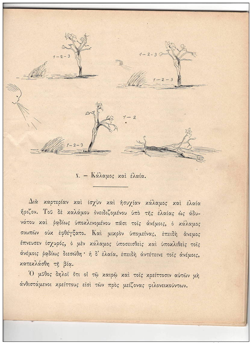 Les Fables D'Esope Illustrées, Tomas Herr Martin. Initiation Au Grec Par L'image..70 Pages  24 Pages De Tableaux; Bin ét - 1901-1940