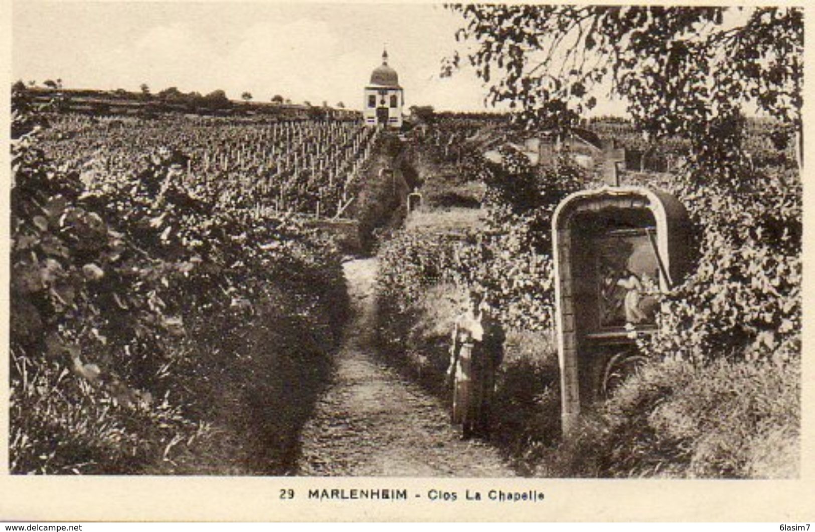 CPA - MARLENHEIM (67) - Aspect Des Vignes Du Clos La Chapelle Dans Les Années 30 - Other & Unclassified