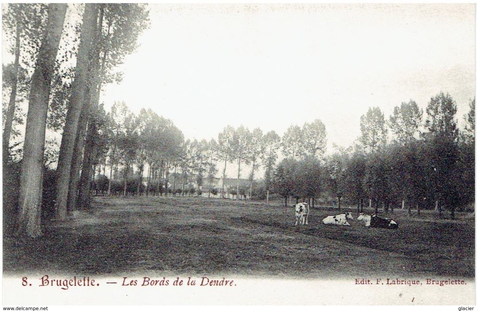 BRUGELETTE - Le Bords De La Dendre - Edit. F. Labrique - Brugelette