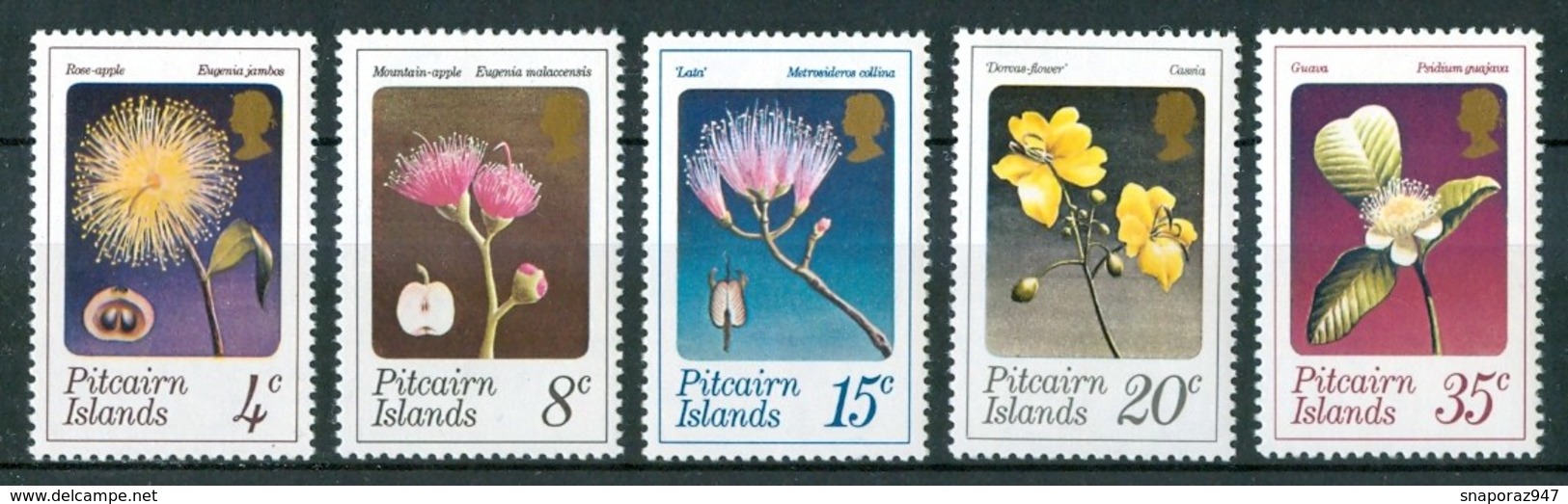 1973 Pitcairn Fiori Flores Fleurs Set MNH** Fio171 - Altri & Non Classificati