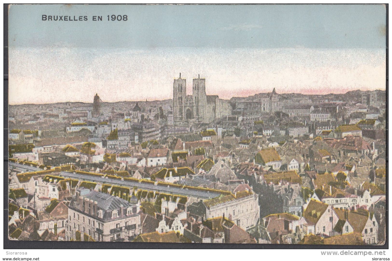 BRUXELLES EN 1908 : PANORAMA - Viste Panoramiche, Panorama