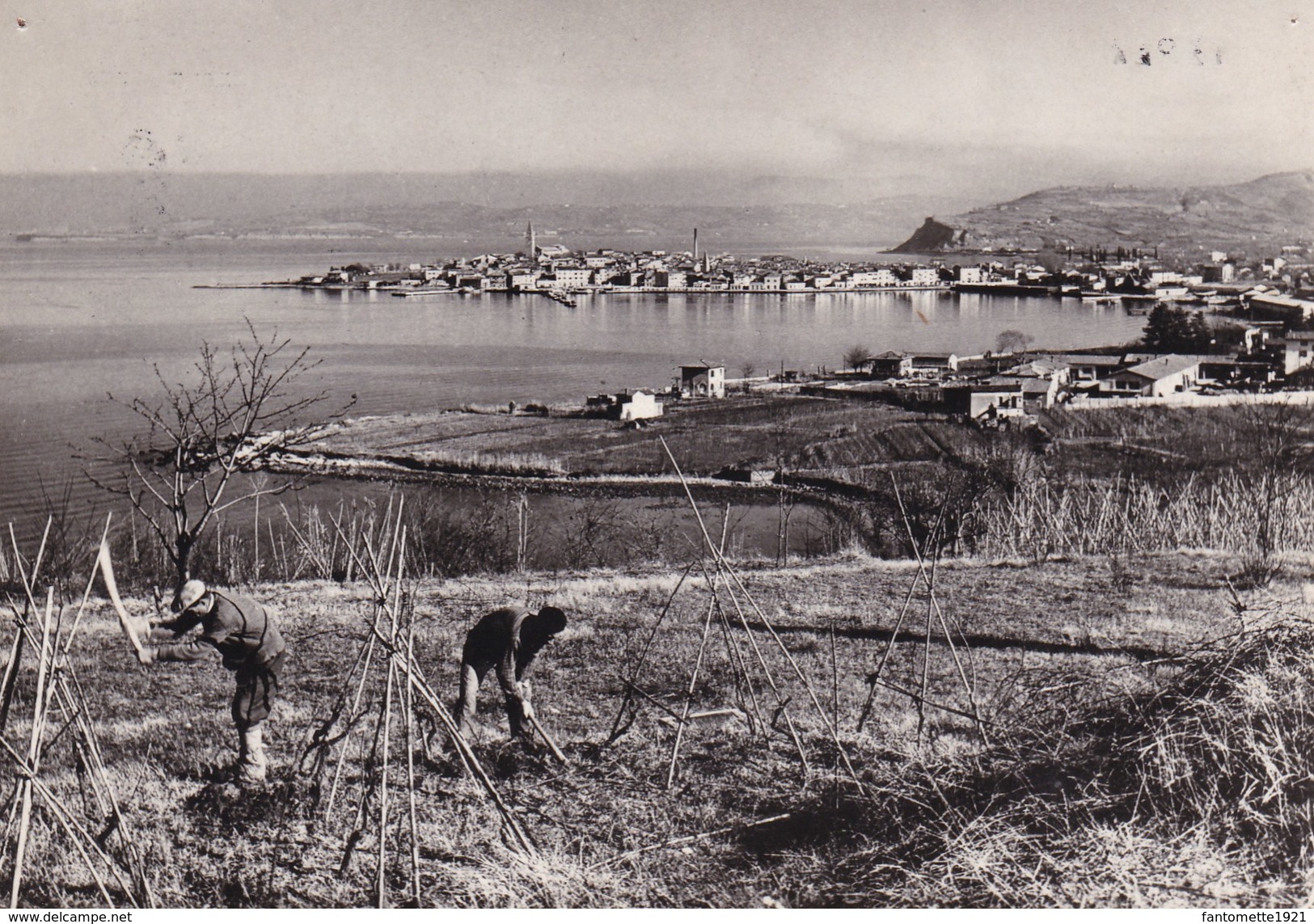 IZOLA VUE GENERALE (BB) - Slovénie