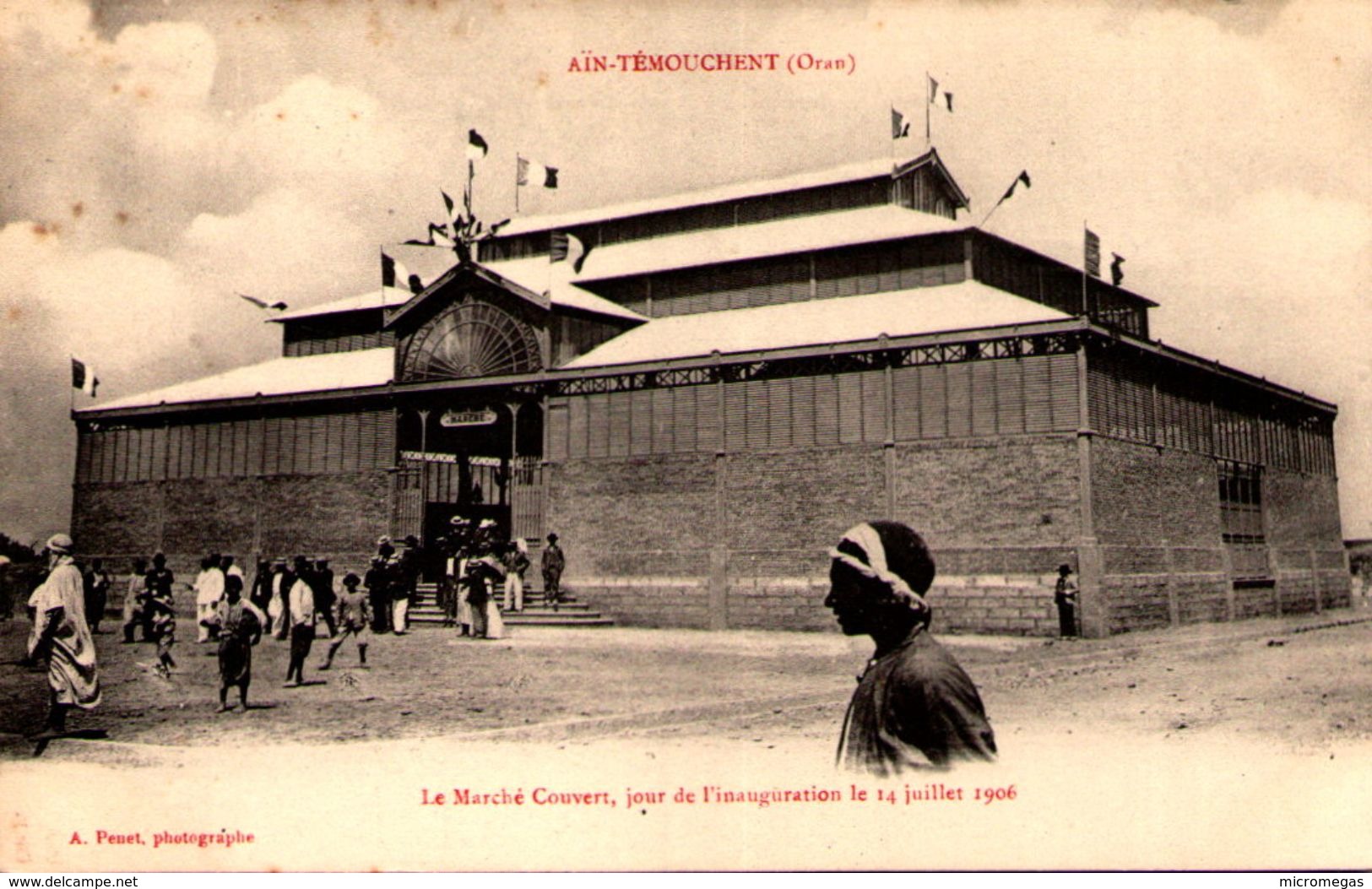 Algérie - AÏN-TEMOUCHENT (Oran)  - Le Marché Couvert, Jour De L'inauguration Le 14 Juillet 1906 - Oran