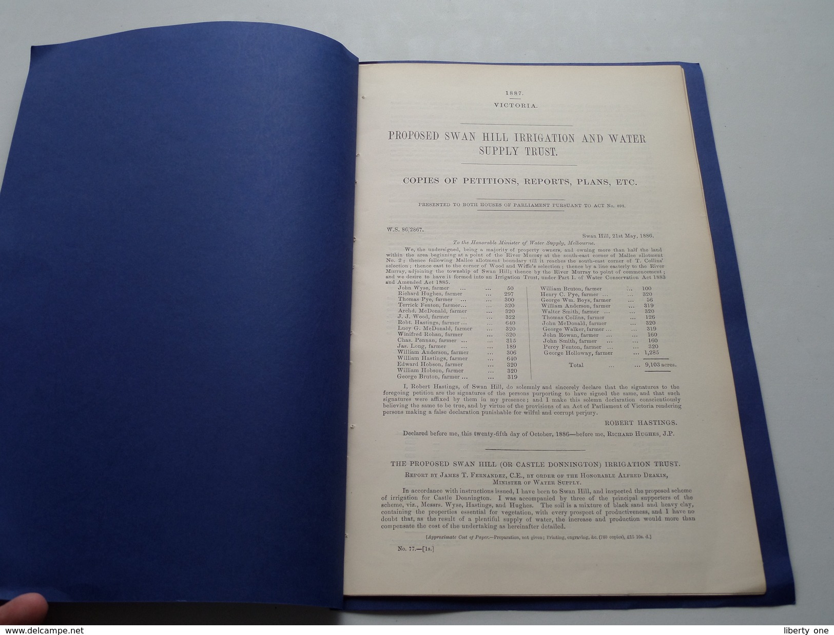 PROPOSED SWAN HILL IRRIGATION And WATER SUPPLY TRUST -  VICTORIA / 1887 ( TYNTYNDER / Tatchera ) Copie MAP / USA ! - Obras Públicas