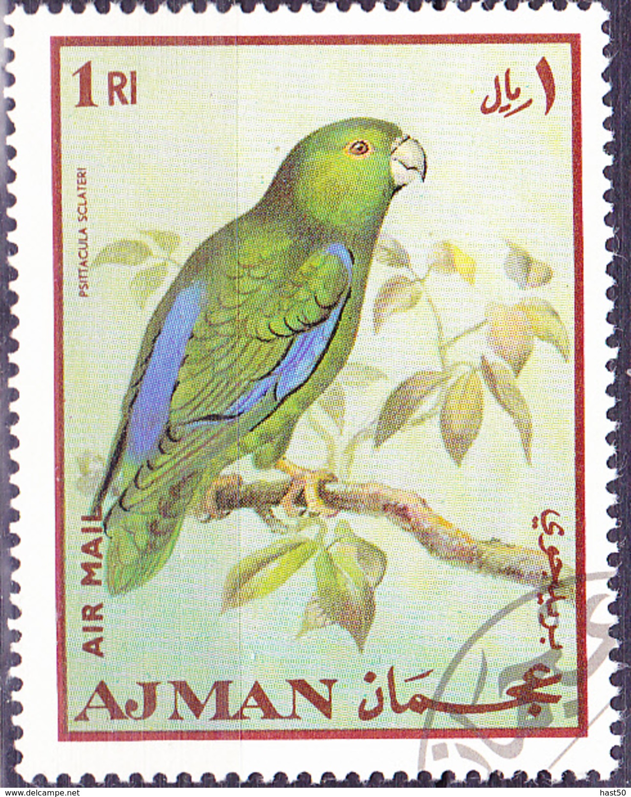 Ajman - Rußmantelsperlingspapagei (Forpus Sclateri) (MiNr: 401 A) - 1969 Gest Used Obl - Adschman